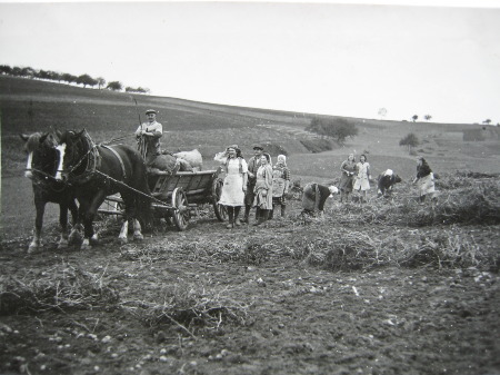 Landwirtschaft um 1940 in Sommerau (Kirchgrund)